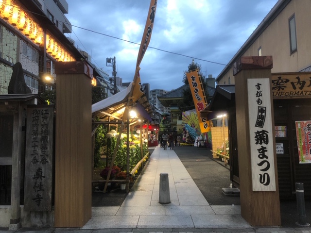 巣鴨の真性寺の菊まつり